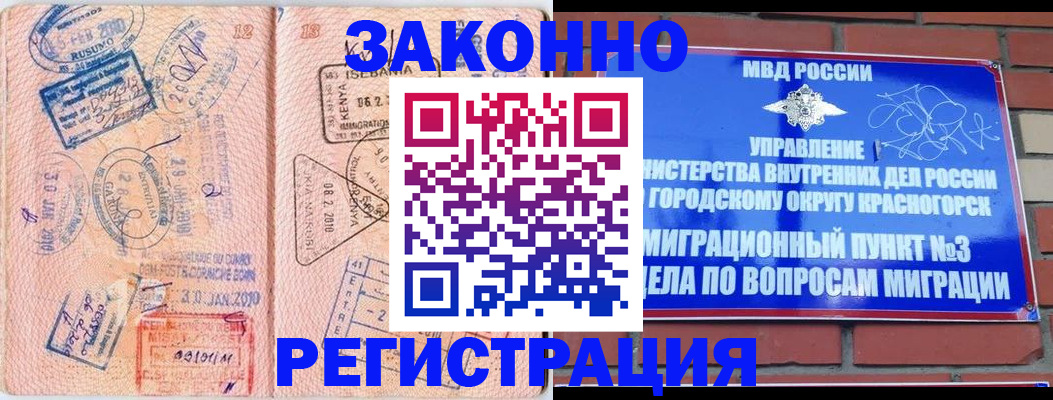 прописка иностранных граждан в Светогорске